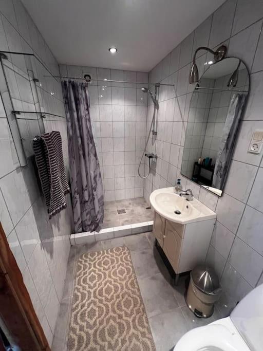 The Apartment @ Bloksgaard هيرتسهلس المظهر الخارجي الصورة